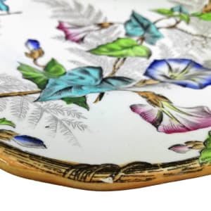 Unnamed (Morning Glories) by W. T. Copeland & Sons 