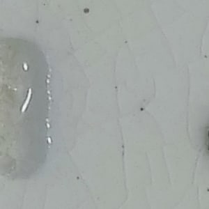 Unnamed (Jacobean Flowers) by Unknown Maker 