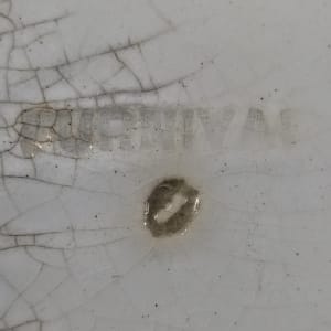 Unnamed (Pied Piper) by Thomas Furnival & Sons 