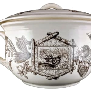 Albany by Thomas Furnival & Sons 