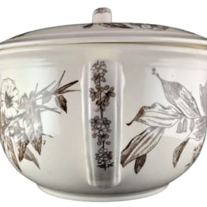 Albany by Thomas Furnival & Sons 