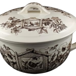 Albany by Thomas Furnival & Sons 