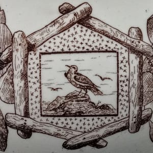 Albany by Thomas Furnival & Sons 