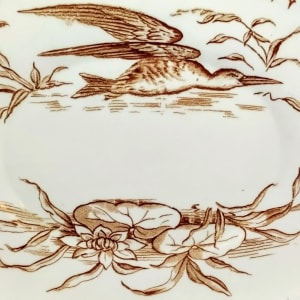 Aquatic by Powell, Bishop & Stonier  Image: Detail