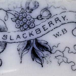 Blackberry by William Brownfield 