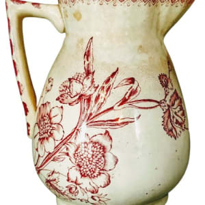 Carnation by Holmes & Plant 