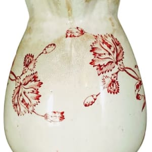 Carnation by Holmes & Plant 