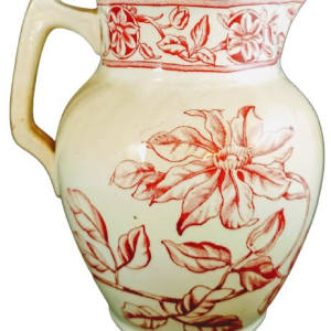 Clematis by T. G. Booth 