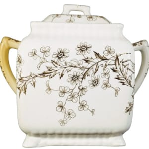 Daisy by Wallis Gimson & Co.