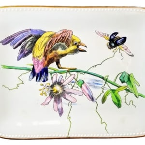 Danish Birds by E. F. Bodley & Co.