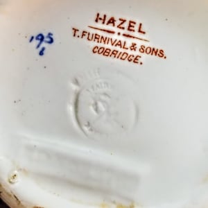 Hazel by Thomas Furnival & Sons 