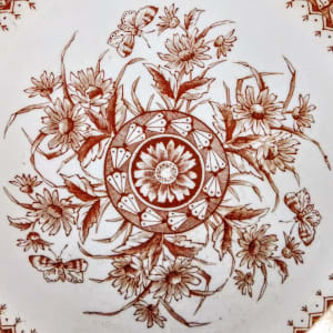 May Flower by Stonier, Hollinshead & Oliver 