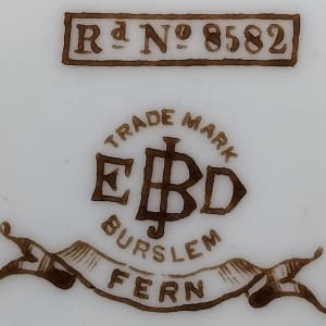 Fern by E. J. D. Bodley 