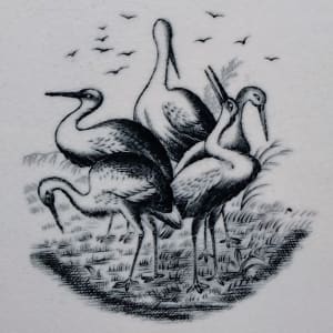 Arabesque by James Edwards & Son  Image: Detail