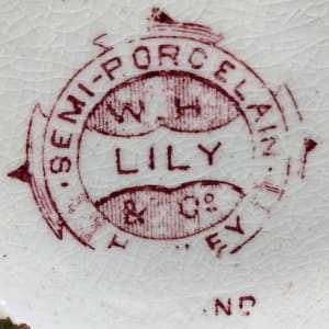 Lily by Whittaker, Heath & Co. 