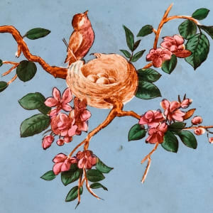 Unnamed (Bird's Nest) by Thomas Furnival & Sons 