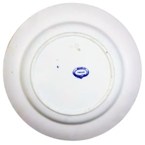 Privet by Baker & Co. 