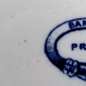 Privet by Baker & Co. 