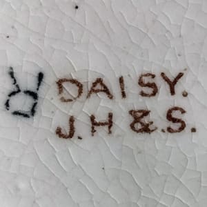 Daisy by J. H. & S. 