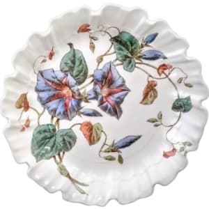 B6010 (Morning Glory) by Brown-Westhead, Moore & Co.