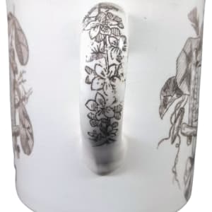 Albany by Thomas Furnival & Sons 