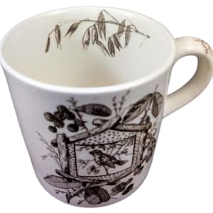 Albany by Thomas Furnival & Sons 