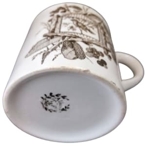 Albany by Thomas Furnival & Sons 