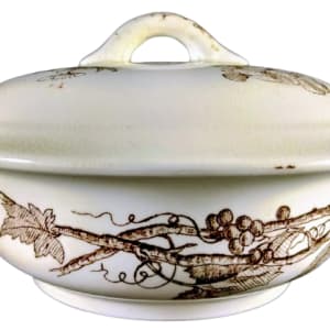 Albany by Thomas Furnival & Sons 