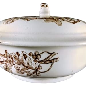 Albany by Thomas Furnival & Sons 