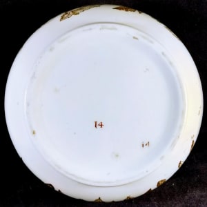 Albany by Thomas Furnival & Sons 