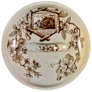 Albany by Thomas Furnival & Sons 