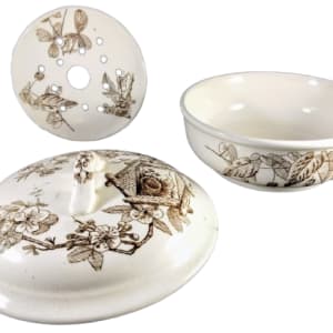 Albany by Thomas Furnival & Sons 