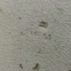 Unnamed (Canyon Waterfall) by Josiah Wedgwood, Image 14.