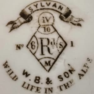 Sylvan: Wild Life in the Alps by William Brownfield & Son(s) 