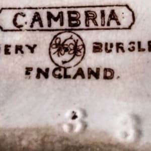 Cambria by F. J. Emery 