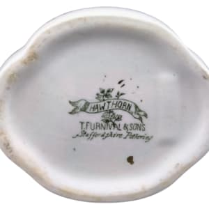 Hawthorn by Thomas Furnival & Sons 