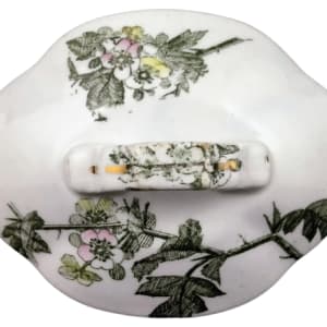Hawthorn by Thomas Furnival & Sons 