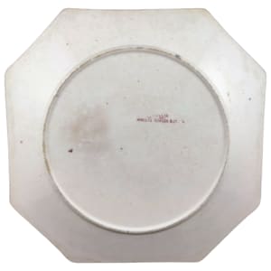 Camellia by Wallis Gimson & Co. 