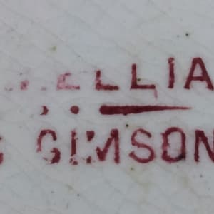 Camellia by Wallis Gimson & Co. 