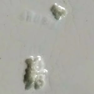 Mediæval by William Brownfield & Son(s), Image 4.