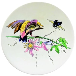 Danish Birds by E. F. Bodley & Co.