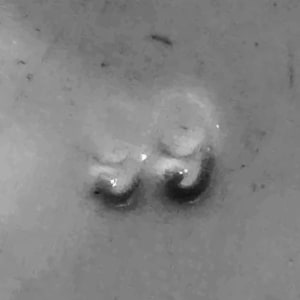 Oxford by J. & G. Meakin, Image 4.