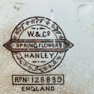 Spring Flowers by Whittaker & Co. 