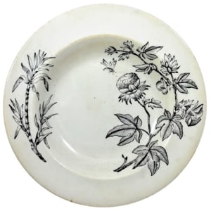 Cotton Plant by E. S.