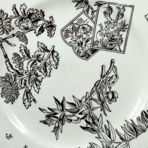 Caius by George Jones & Sons 