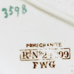 Pomegranite by F. W. Grove