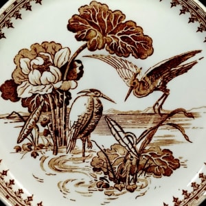 Aquatic by Powell, Bishop & Stonier  Image: Detail