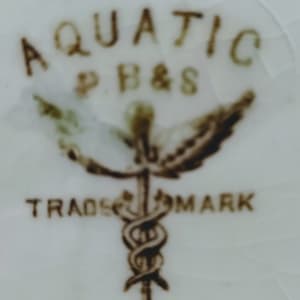 Aquatic by Powell, Bishop & Stonier  Image: Printed Maker's Mark