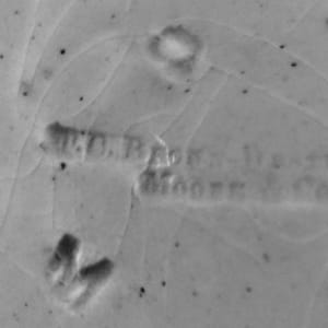 Tulip by Brown-Westhead, Moore & Co.  Image: Impressed Maker's Mark