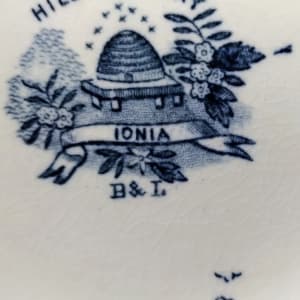 Ionia by Burgess & Leigh 